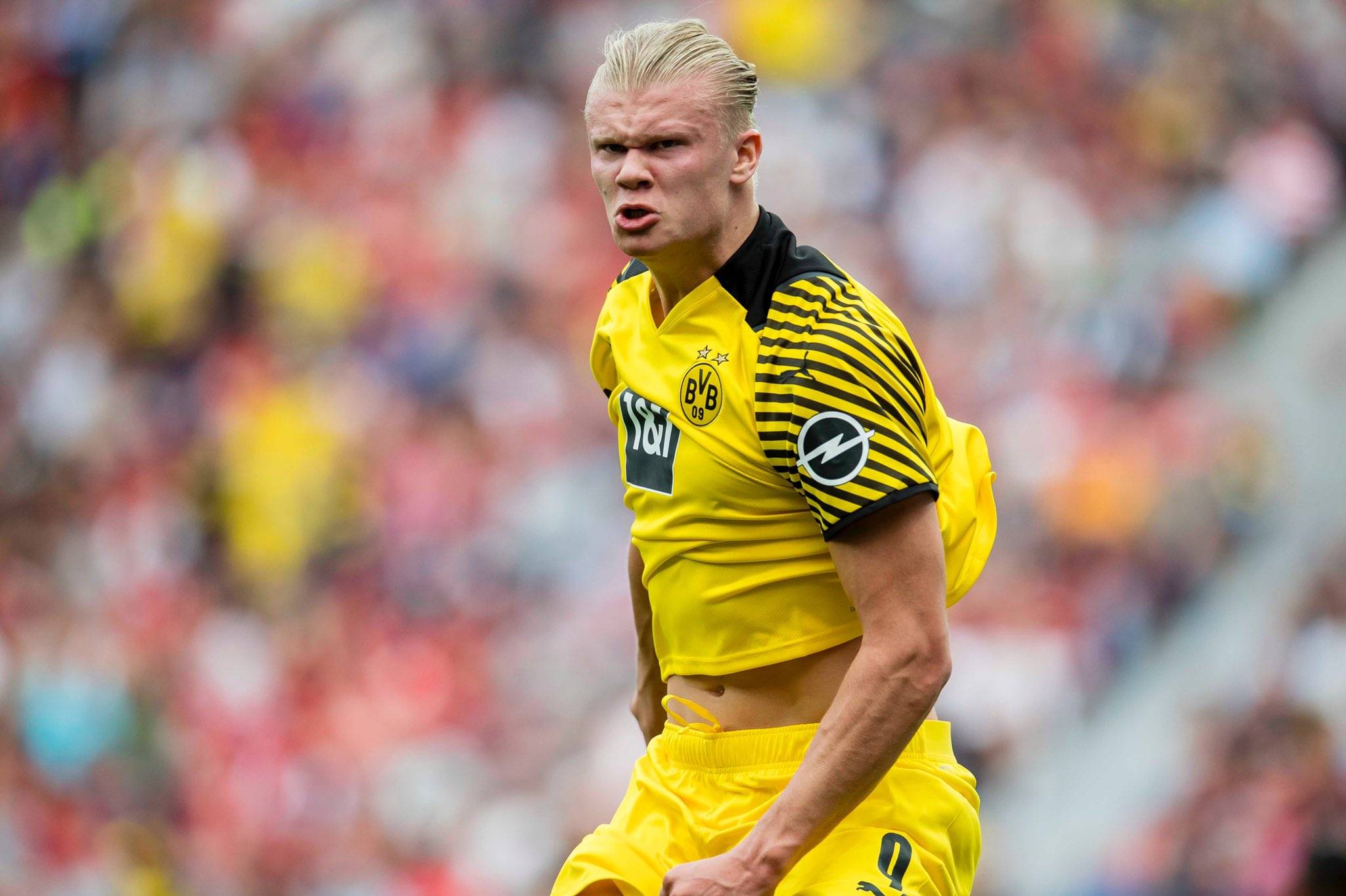 四号位摇摆 四号位摇摆